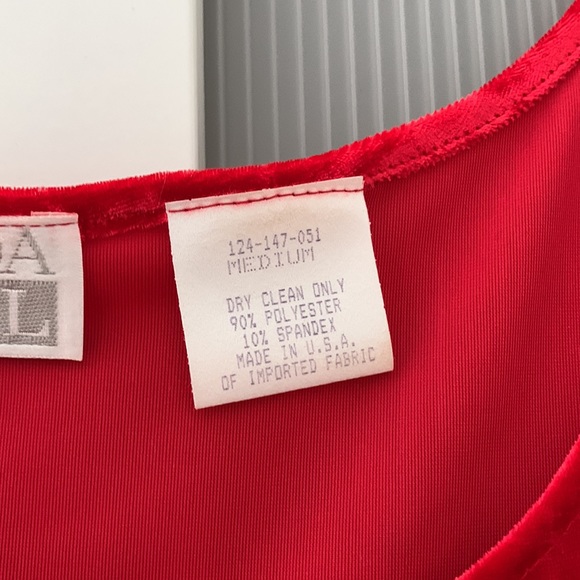 Red Velvet Dress - Picture 3 of 6